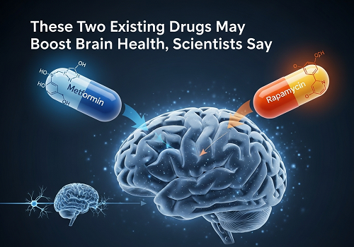 دانشمندان می‌گن این دو داروی موجود ممکنه سلامت مغز رو تقویت کنن